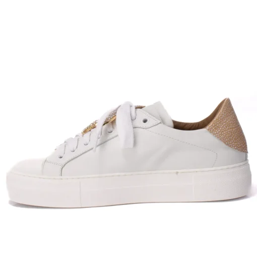 Sneakers Basse Donna Novità