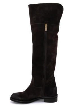 Stivali Donna Novità